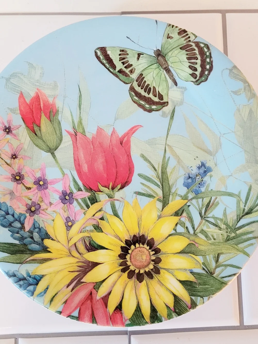 Floral Butterfly Plate Set of 2 – Blue, Yellow & Pink Melamine